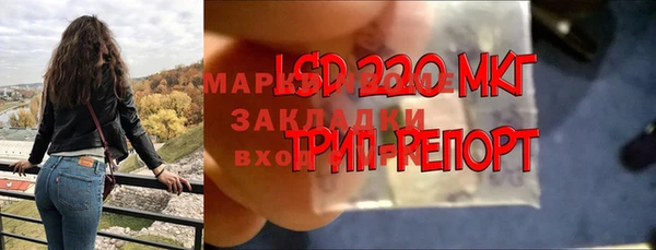 мяу мяу мука Алзамай