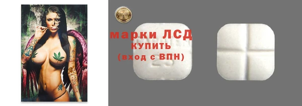 мяу мяу мука Алзамай