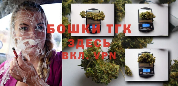 сатива Сафоново