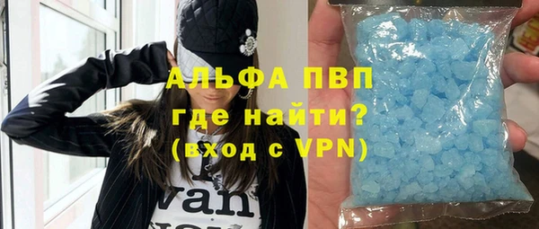 индика Сатка
