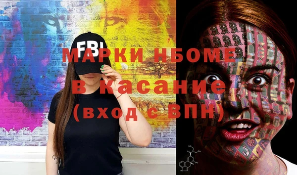 хмурый Алексин